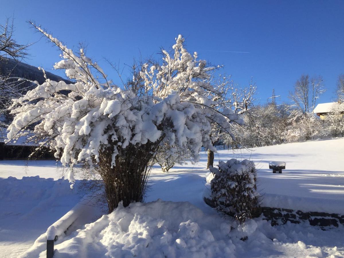 Bobbies Nest Villa Schladming Bagian luar foto