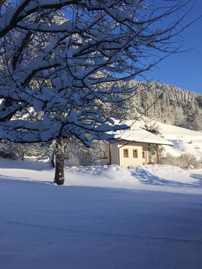 Bobbies Nest Villa Schladming Bagian luar foto