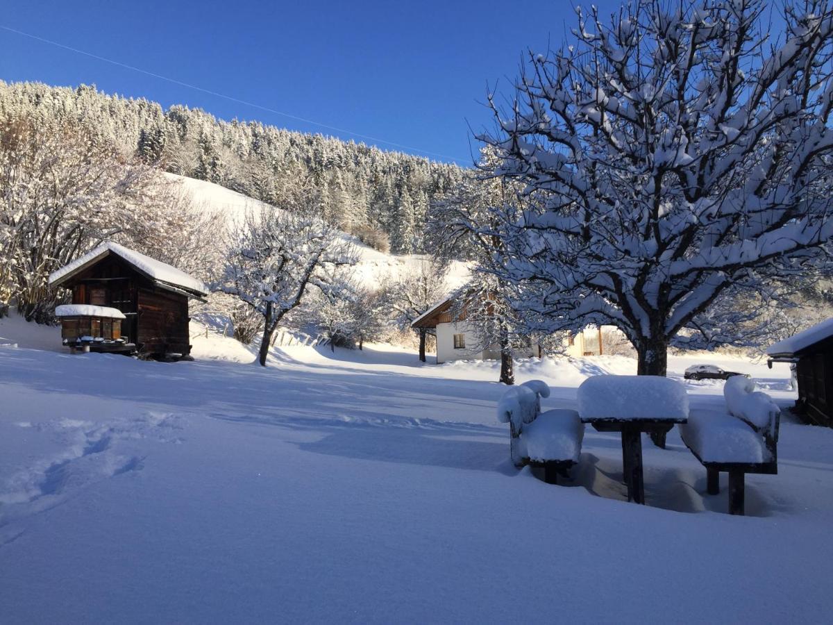 Bobbies Nest Villa Schladming Bagian luar foto