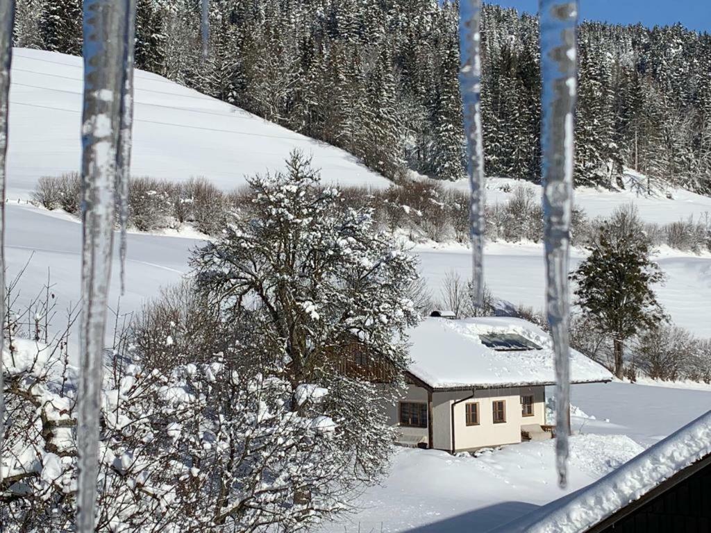 Bobbies Nest Villa Schladming Bagian luar foto