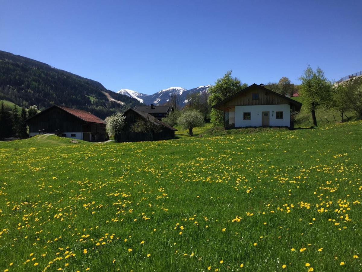 Bobbies Nest Villa Schladming Bagian luar foto