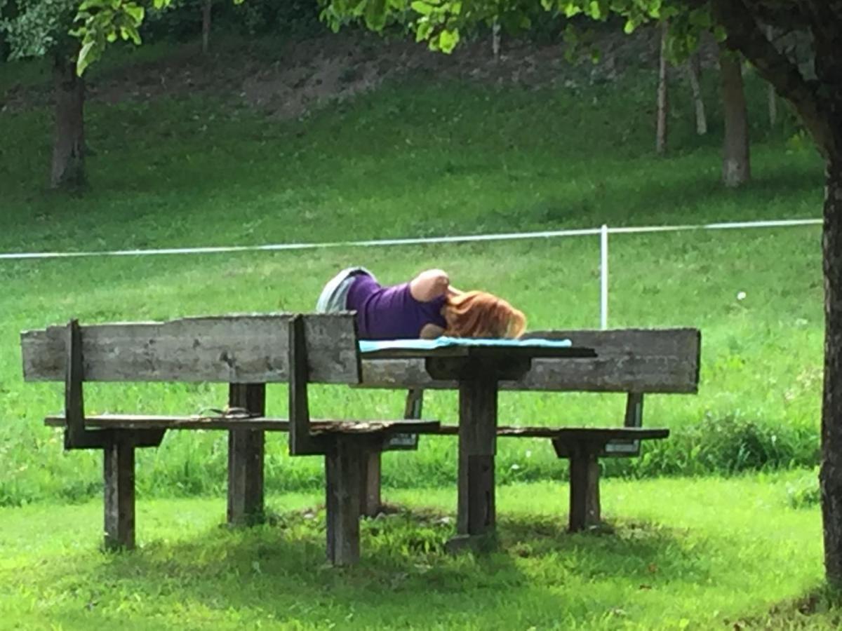 Bobbies Nest Villa Schladming Bagian luar foto